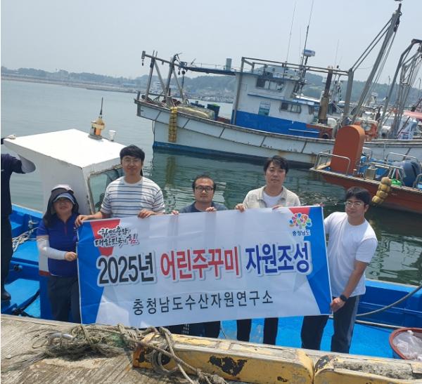 충남도, 고소득 수산자원 주꾸미 44만 마리 방류 기사 이미지