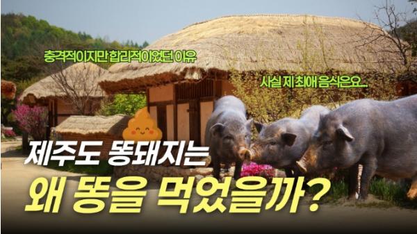 제주를 이해하는 가장 쉬운 방법…영상으로 확인하세요! 기사 이미지