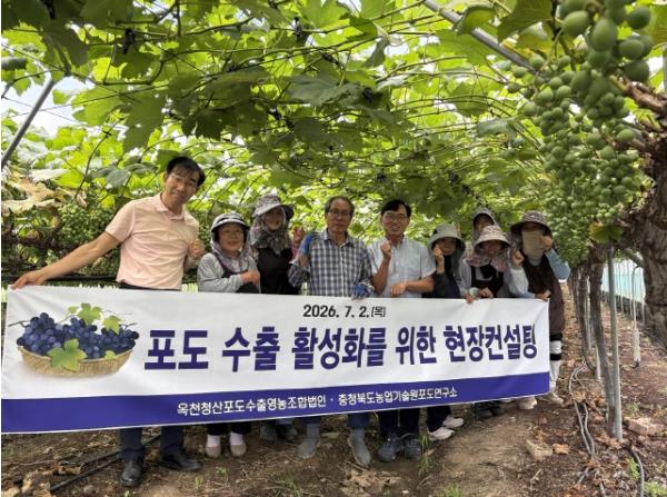충북 포도, 수출 현장 이상 無… 품질․안전 모두 잡았다 기사 이미지
