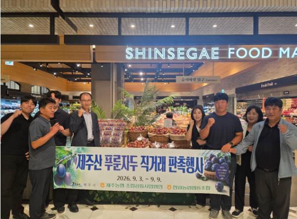 ‘푸룬자두 본격 출하’ 제주시, 수도권 판로 확대 나선다 기사 이미지
